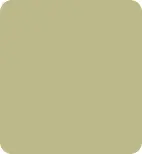 Wholesale sage green ceramic tile with rounded corners
